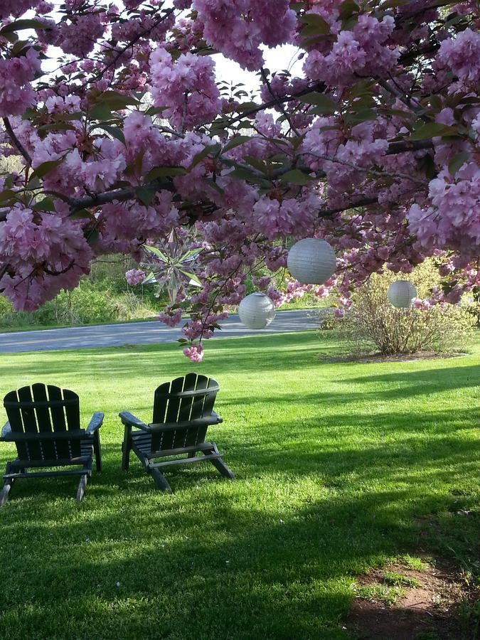 Living Spring Farm